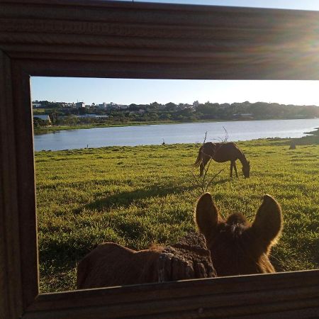Hostel Santuario De Protecao Animal Filhos De SalomaoBragança Paulista エクステリア 写真