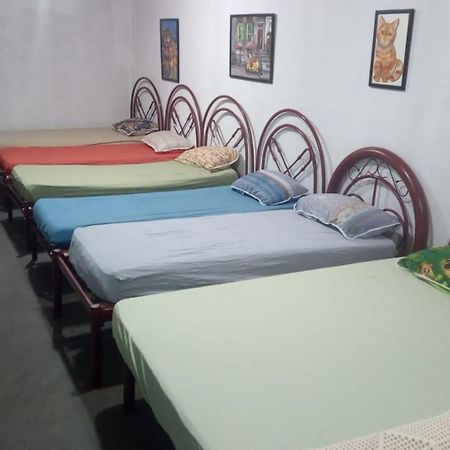 Hostel Santuario De Protecao Animal Filhos De SalomaoBragança Paulista エクステリア 写真