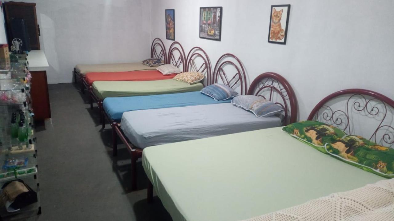 Hostel Santuario De Protecao Animal Filhos De SalomaoBragança Paulista エクステリア 写真