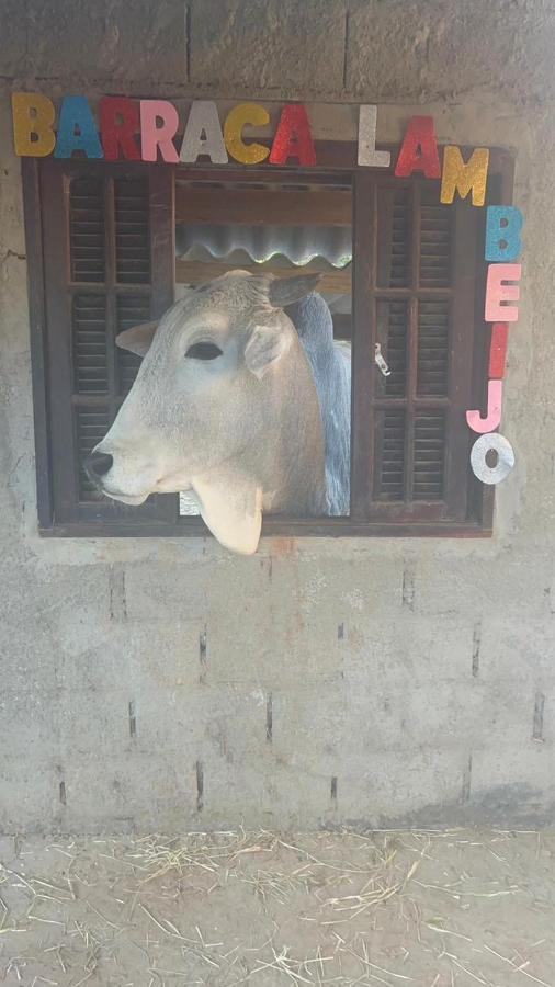 Hostel Santuario De Protecao Animal Filhos De SalomaoBragança Paulista エクステリア 写真